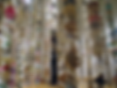 TREEWHISPERS PAPERMAKING WORKSHOP