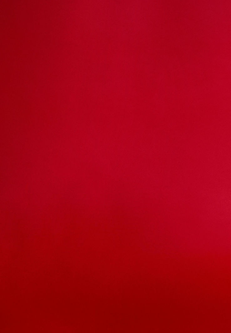 Kachel-Rot.jpeg