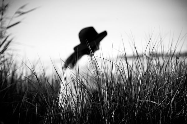 DSC_0004(1).jpg