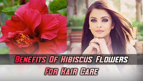 Benefits of Hibiscus Flowers for Hair Care, boosts hair growth and delays Premature Greying