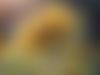 Understanding Depression: Tips and Treatment Options