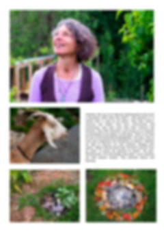 fullsizeoutput_24e0.jpeg