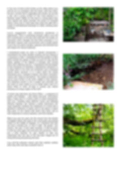 fullsizeoutput_24e2.jpeg