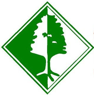 1217 Ponderosa Trail