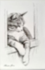 Sieste