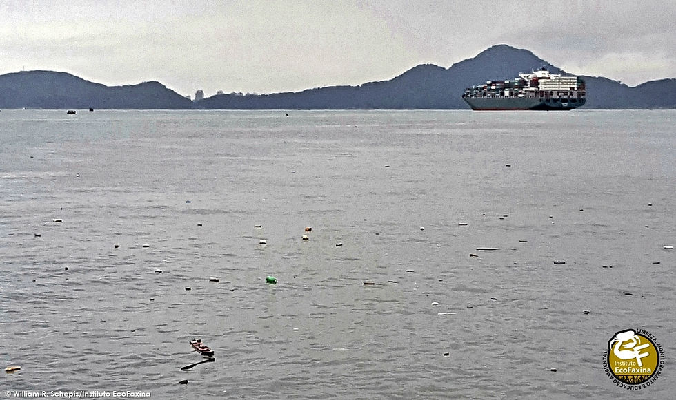 Na Baixada Santista, toneladas de plástico descartadas diariamente por favelas de palafitas em manguezais no interior do estuário saem para o oceano pelo do canal do Porto de Santos (acima) e pelo canal de São Vicente.
