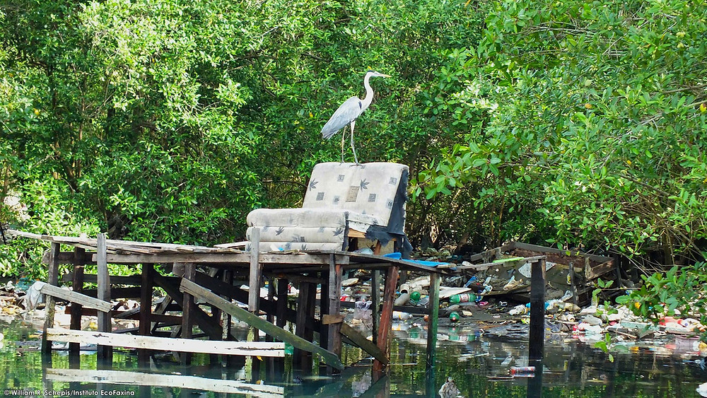 A poluição do estuário de Santos e São Vicente causa prejuízos à fauna, ao turismo, à pesca e à saúde pública.