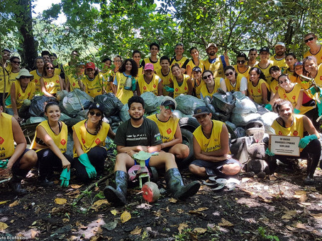 Voluntários retornam ao manguezal para combater a poluição marinha no estuário de Santos e São Vicen