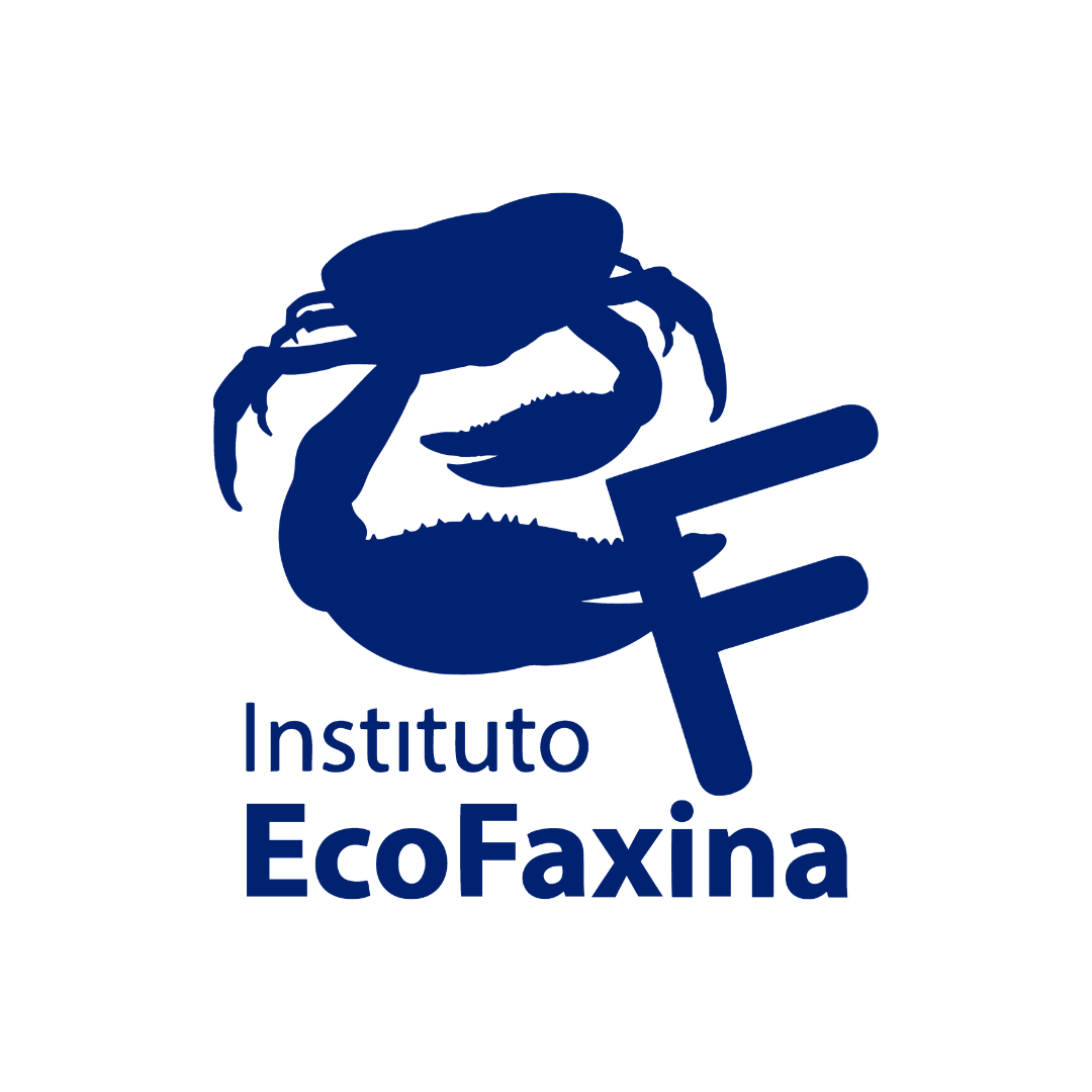 Foto do escritor: Instituto EcoFaxina