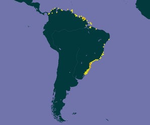 ocorrencia-chelonia-mydas.jpg