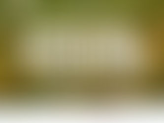 100ª Ação Voluntária EcoFaxina celebra o Dia Mundial da Água com limpeza de manguezal