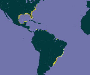 ocorrencia-chelonia-mydas.jpg