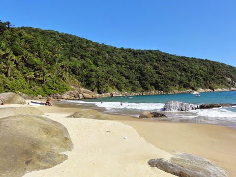 Trote Ecológico: calouros da Unisanta realizarão limpeza subaquática neste sábado (11/02)