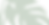 Jungle state of mind (Canva Banner) (2).png