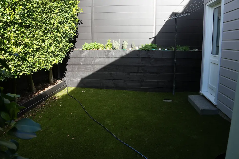 Synthetic turf in front of the dark timber retaining wall along the house, with a clipped hedge, Herne Bay
