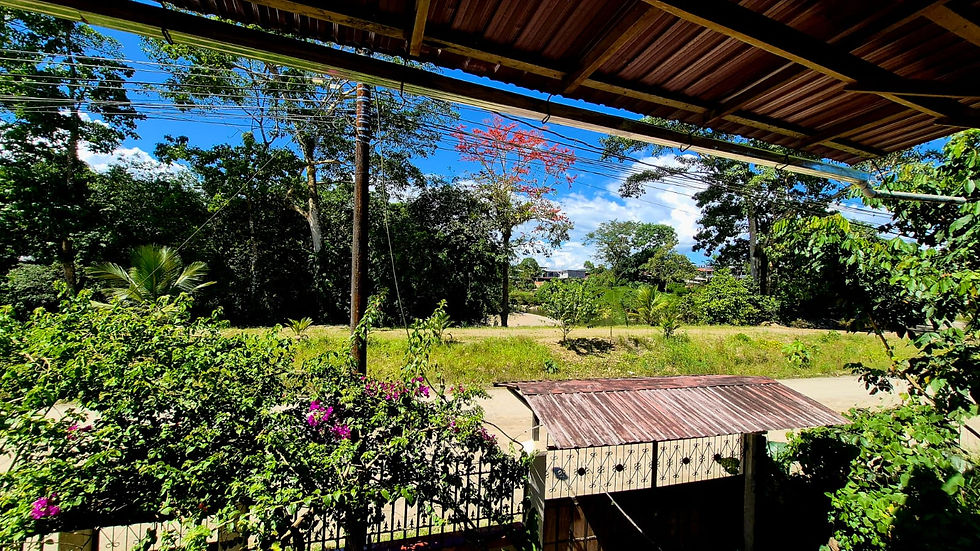 Blick auf den Fluss Pano