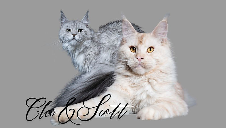 Vanessa & Scott (2).jpg