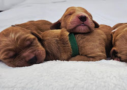 20250723_150844(1)(1)_edited