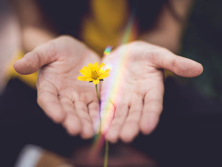 🌟 Cultivating Wellness: Embrace the Power of Daily Habits and Rituals with Align Insights! 🌟