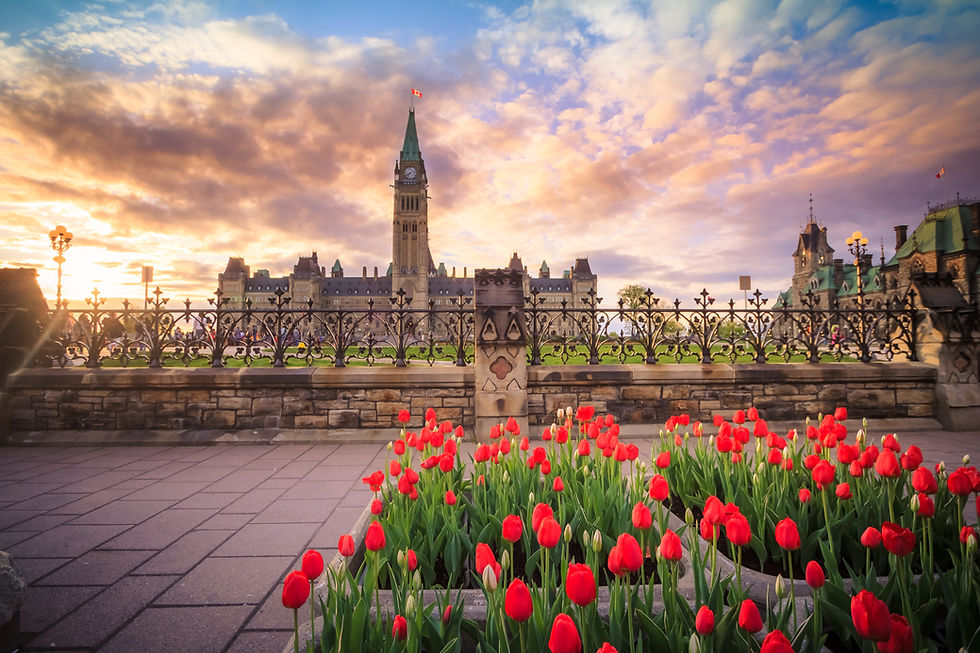 View of Canada Parliament building in Ottawa during tulip festival.jpg
