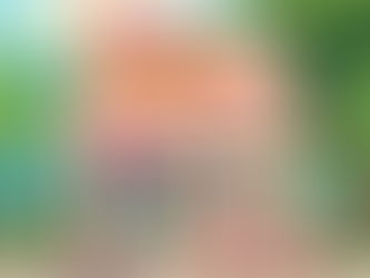 Nang Delivery Brisbane – Find the Best Deals on Nangs