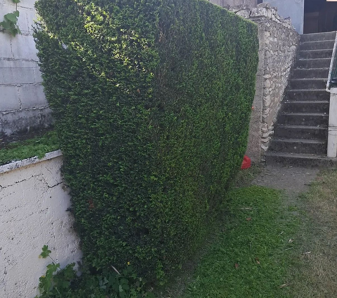 WhatsApp Image 2025-07-17 at 09.30.51 (1).jpeg