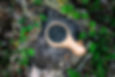 DSC_0066.jpg