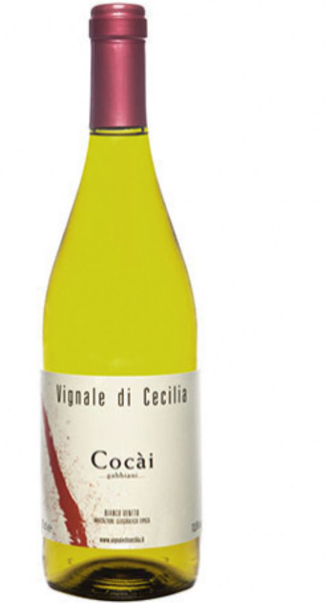 Veneto Bianco IGT "Cocai" 2018 - Vignale di Cecilia