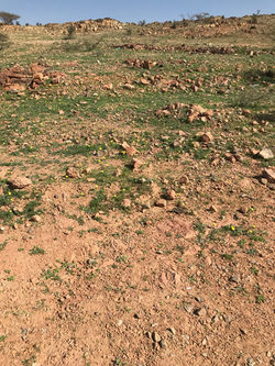 وأزهرت الأرض،فَرَع الرَّدَادَّة،٢٠١٨ ١٢ ٢٢،١٤٤٠ ٤ ١٥