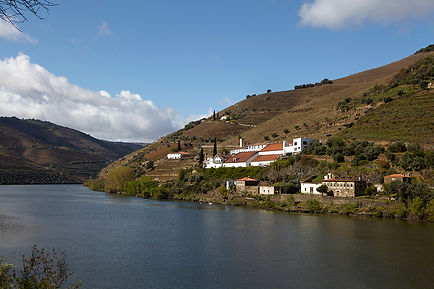 Paisagem do rio Douro junto à Quinta de la Rosa