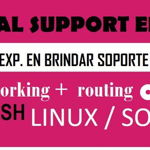 Technical Support Engineer