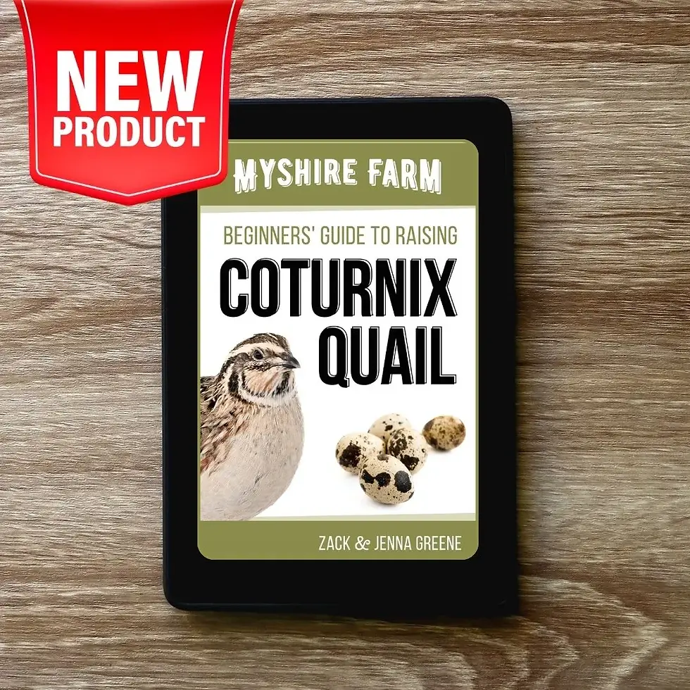 myshire-farm-ebook-beginners-guide-to-raising-coturnix-quail.webp
