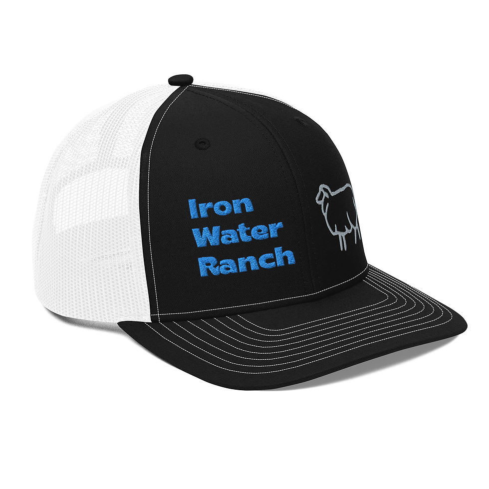 Thumbnail: Iron Water Ranch Richardson Cap - Blue