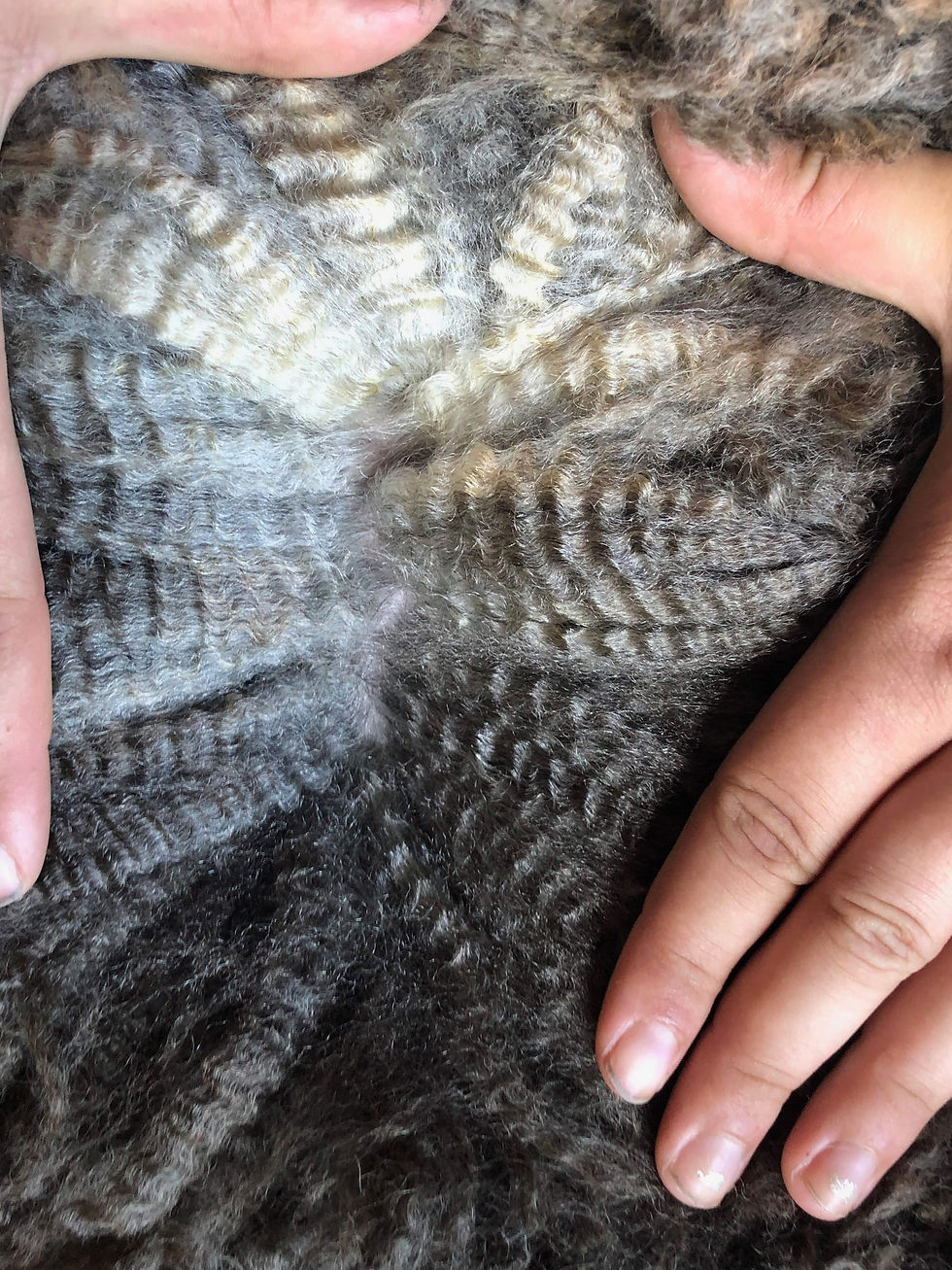 Thumbnail: 1LB 100% Romney Roving - Heather Grey