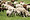 IWR Fall Fiber Fest