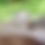 Thumbnail: 1LB 100% Romney Roving - White