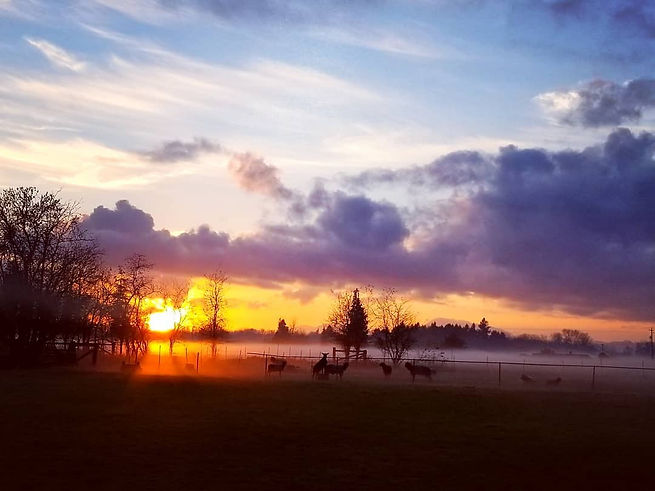 Beauty sunset.jpg