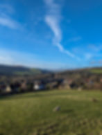 Sheep and houses in a countryside setting