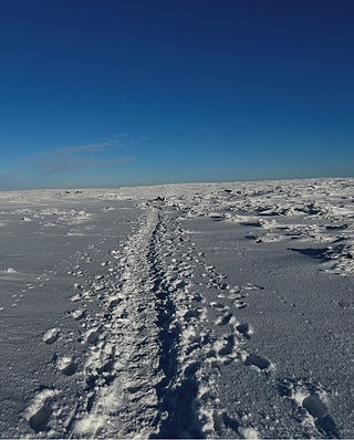 A snowy landscape with a trail of footprints