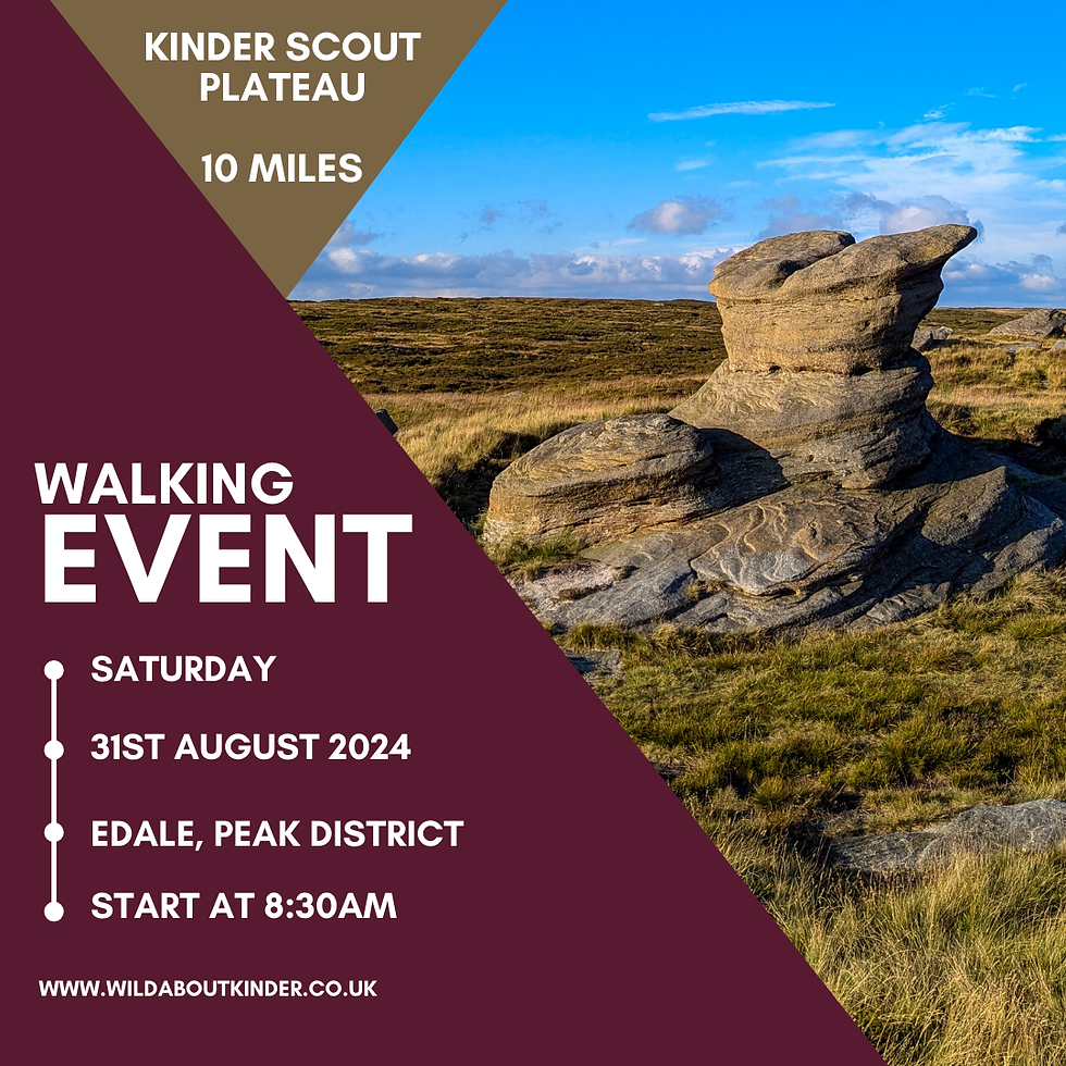Guided walk to the highest point in the Peak District