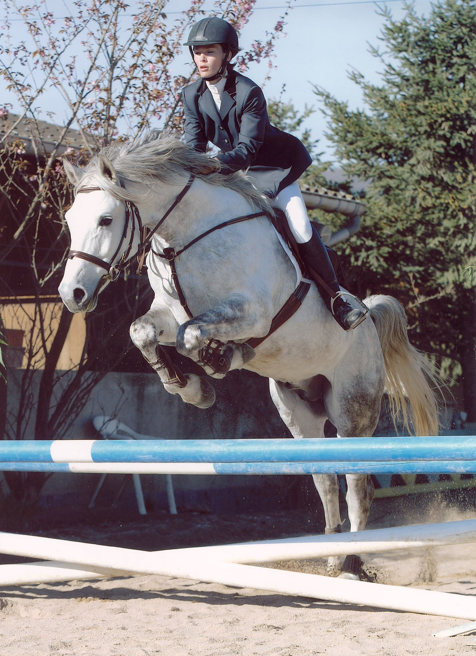Ideval en concours 2