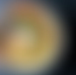 自然派ラーメンの美学。