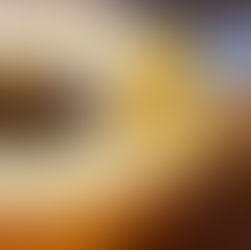 バウムの世界が変わる味わい“バターミルクバウム”