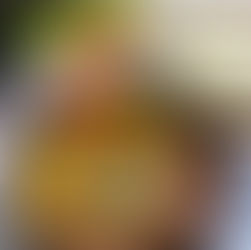 自家製ブラウンソースがグツグツ健酵豚のステーキが新登場