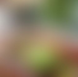 田んぼの中の癒やし系カフェ