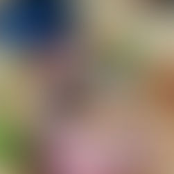 素材力を引き出した美食プレート。