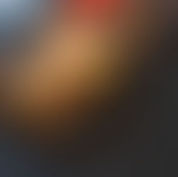 大将の目利が決め手至福の旬握り