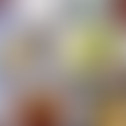 味と安全性に配慮した幸せランチ。