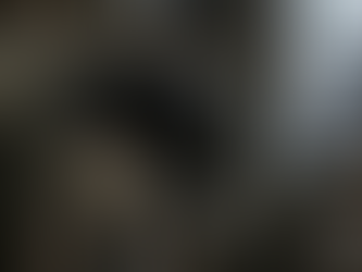 In the Shadow of Power: How Cases of Harassment Involving Political Houses Vanish into the Black Hole of Court Files