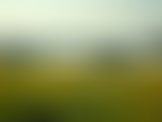 6차 산업 성공 전략: 성공적인 사례와 교훈